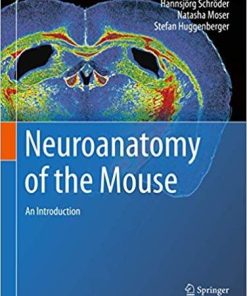 Neuroanatomy of the Mouse: An Introduction 1st ed. 2020 Edition