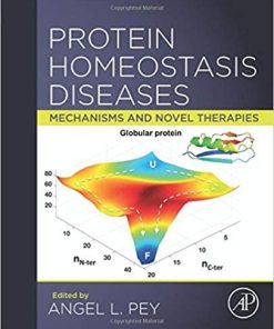 Protein Homeostasis Diseases: Mechanisms and Novel Therapies 1st Edition