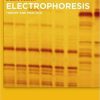 Electrophoresis: Theory and Practice