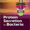 Protein Secretion in Bacteria (ASM Books) 1st Edition