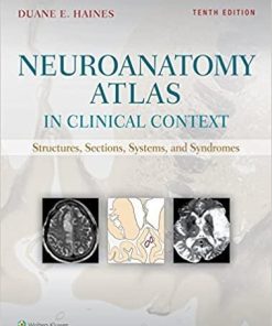 Neuroanatomy Atlas in Clinical Context: Structures, Sections, Systems, and Syndromes Tenth, North American Edition