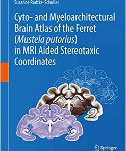 Cyto- and Myeloarchitectural Brain Atlas of the Ferret (Mustela putorius) in MRI Aided Stereotaxic Coordinates 1st ed. 2018 Edition