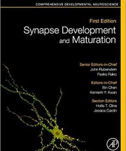 Synapse Development and Maturation: Comprehensive Developmental Neuroscience 1st Edition