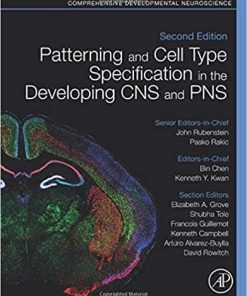 Patterning and Cell Type Specification in the Developing CNS and PNS: Comprehensive Developmental Neuroscience 2nd Edition