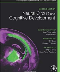 Neural Circuit and Cognitive Development: Comprehensive Developmental Neuroscience 2nd Edition