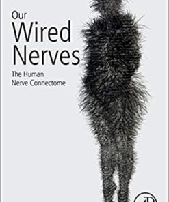 Our Wired Nerves: The Human Nerve Connectome 1st Edition