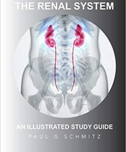 The Renal System: An Illustrated Guide