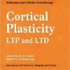 Cortical Plasticity (Molecular and Cellular Neurobiology Series) 1st Edition