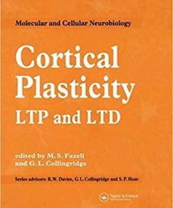 Cortical Plasticity (Molecular and Cellular Neurobiology Series) 1st Edition