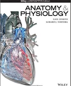 Anatomy and Physiology 1st Edition