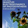 Quantum Electrodynamics of Photosynthesis: Mathematical Description of Light, Life and Matter (De Gruyter STEM)