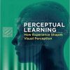 Perceptual Learning: How Experience Shapes Visual Perception