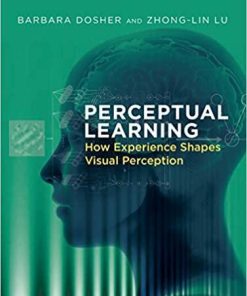 Perceptual Learning: How Experience Shapes Visual Perception