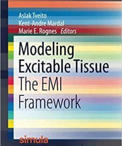 Modeling Excitable Tissue: The EMI Framework (Simula SpringerBriefs on Computing) 1st ed. 2021 Edition