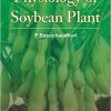 Physiology of Soybean Plant