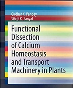 Functional Dissection of Calcium Homeostasis and Transport Machinery in Plants (SpringerBriefs in Plant Science) 1st ed. 2021 Edition