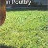 Reproduction in Poultry