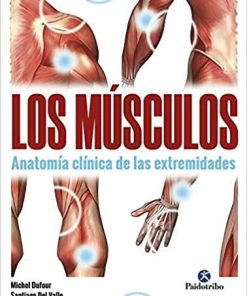 Músculos, Los. Anatomía clínica de las extremidades (Medicina) (Spanish Edition)