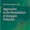 Approaches to the Remediation of Inorganic Pollutants 1st ed. 2021 Edition