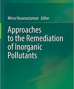 Approaches to the Remediation of Inorganic Pollutants 1st ed. 2021 Edition