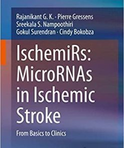 IschemiRs: MicroRNAs in Ischemic Stroke: From Basics to Clinics 1st ed. 2020 Edition