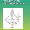 Stem Cell Proliferation and Differentiation (Volume 138) (Current Topics in Developmental Biology, Volume 138) 1st Edition