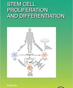 Stem Cell Proliferation and Differentiation (Volume 138) (Current Topics in Developmental Biology, Volume 138) 1st Edition