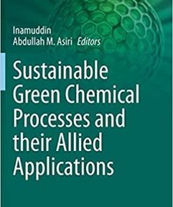 Sustainable Green Chemical Processes and their Allied Applications (Nanotechnology in the Life Sciences) 1st ed. 2020 Edition