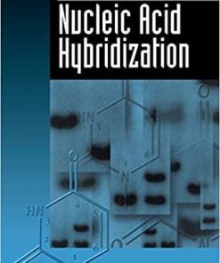 Nucleic Acid Hybridization (Introduction to Biotechniques S) 1st Edition