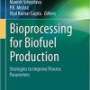 Bioprocessing for Biofuel Production: Strategies to Improve Process Parameters (Clean Energy Production Technologies) 1st ed. 2021 Edition