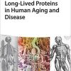 Long-lived Proteins in Human Aging and Disease