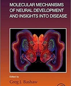 Molecular Mechanisms of Neural Development and Insights into Disease (Volume 142) (Current Topics in Developmental Biology, Volume 142) 1st Edition