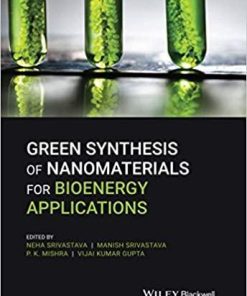 Green Synthesis of Nanomaterials for Bioenergy Applications 1st Edition