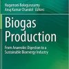 Biogas Production: From Anaerobic Digestion to a Sustainable Bioenergy Industry 1st ed. 2020 Edition