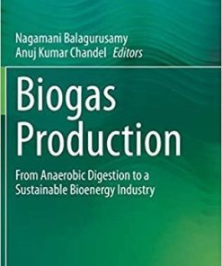 Biogas Production: From Anaerobic Digestion to a Sustainable Bioenergy Industry 1st ed. 2020 Edition