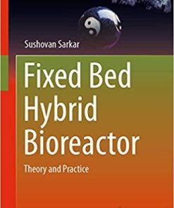 Fixed Bed Hybrid Bioreactor: Theory and Practice (Green Energy and Technology) 1st ed. 2021 Edition