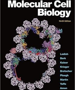 Molecular Cell Biology 9th Edition