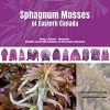 Sphagnum Mosses of Eastern Canada: Biology — Anatomy — Morphology — Herbarium conservation techniques and microscopic preparations