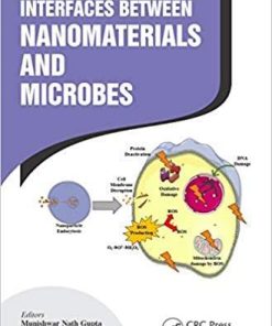 Interfaces Between Nanomaterials and Microbes 1st Edition