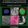 Toxoplasmosis of Animals and Humans 3rd Edition