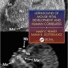 Ultrasound of Mouse Fetal Development and Human Correlates (Reproductive Medicine and Assisted Reproductive Techniques Series) 1st Edition