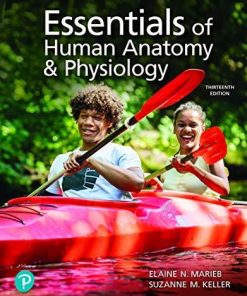 Essentials of Human Anatomy & Physiology (2-downloads)