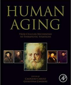 Human Aging: From Cellular Mechanisms to Therapeutic Strategies 1st Edition