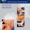 Palpation Techniques: Surface Anatomy for Physical Therapists 1st Edition