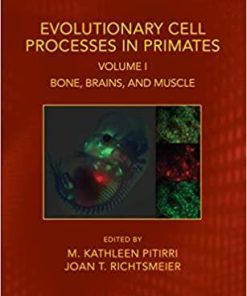 Evolutionary Cell Processes in Primates: Bone, Brains, and Muscle, Volume I (Evolutionary Cell Biology) 1st Edition