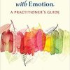 Changing Emotion With Emotion: A Practitioner’s Guide 1st Edition