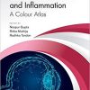 Corneal Infection and Inflammation: A Colour Atlas 1st Edition