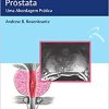 Ressonância Magnética da Próstata: Uma abordagem Prática (PDF)