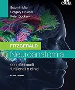 Fitzgerald – Neuroanatomia: VIII edizione (Italian Edition) (EPUB)