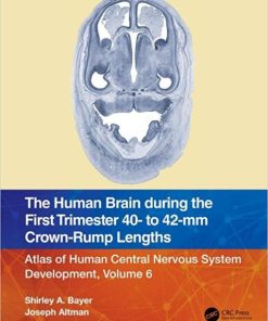 The Human Brain during the First Trimester 40- to 42-mm Crown-Rump Lengths: Atlas of Human Central Nervous System Development, Volume 6 (PDF)